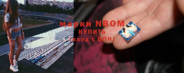 крисы Михайловск